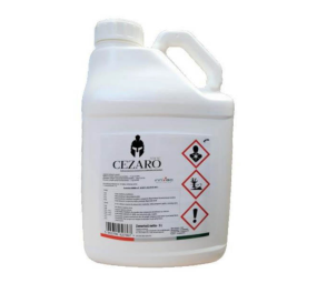 Cezaro 574 SC