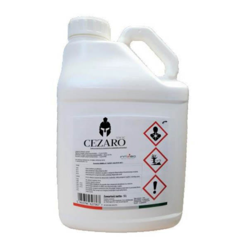 Cezaro 574 SC