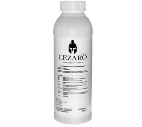 Cezaro 574 SC