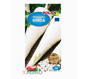 Pietruszka korzeniowa Kinga Polan