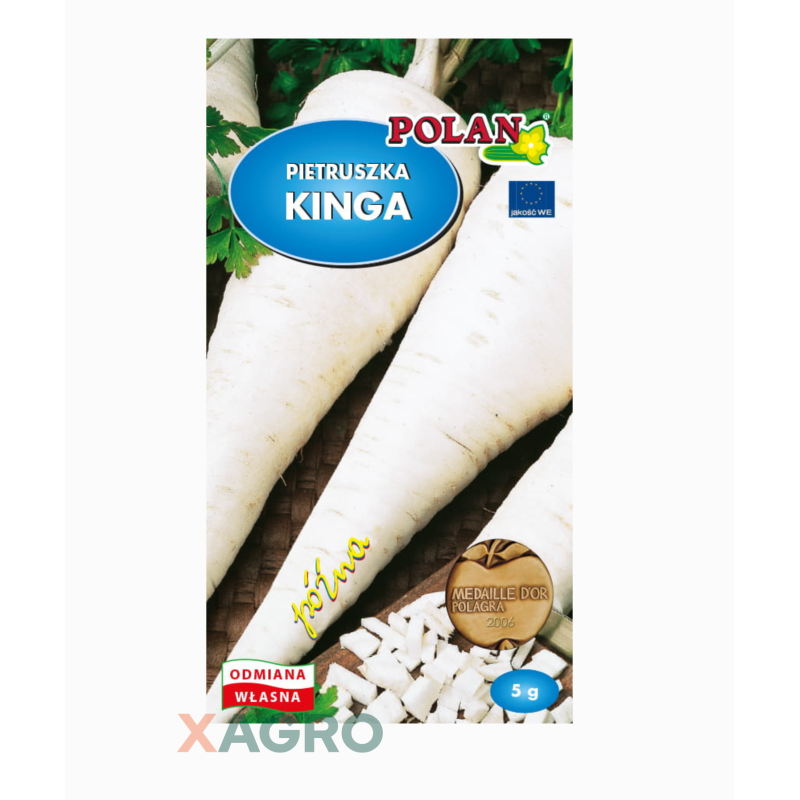 Pietruszka korzeniowa Kinga Polan