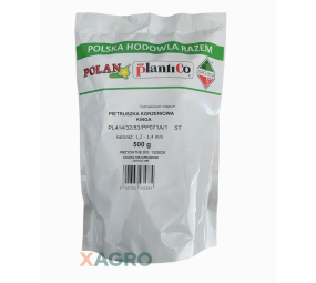 Pietruszka korzeniowa Kinga Polan 500 g