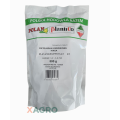 Pietruszka korzeniowa Kinga Polan 500 g