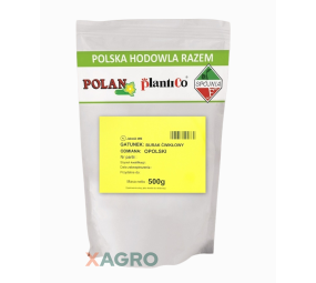 Burak ćwikłowy Opolski Plantico