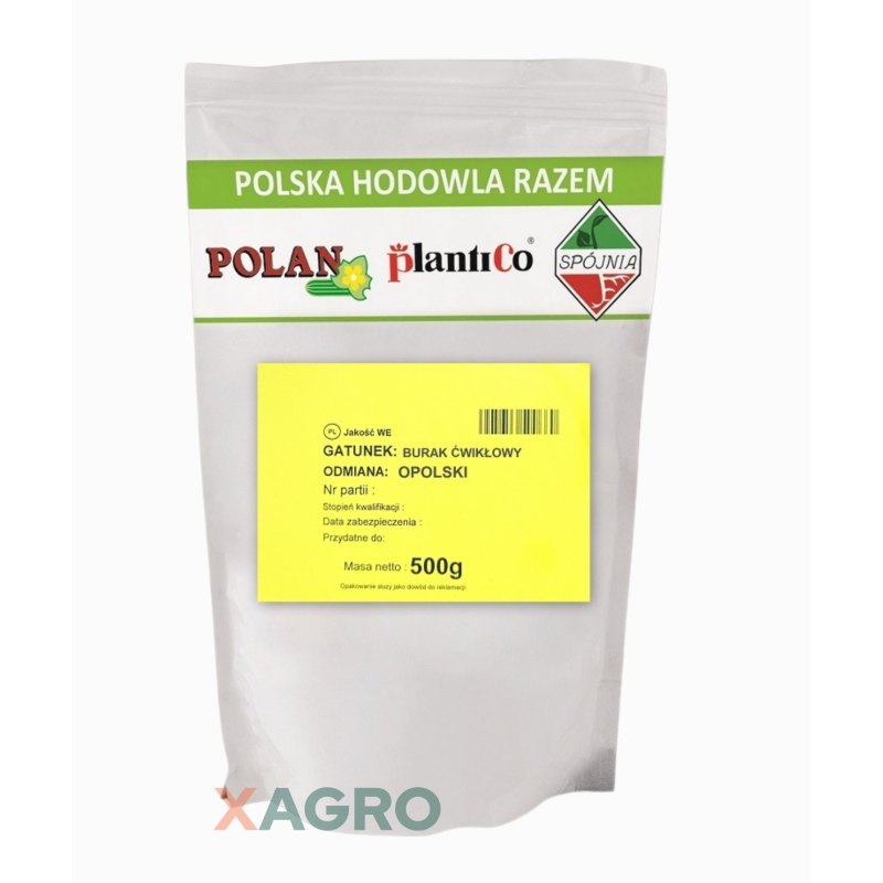 Burak ćwikłowy Opolski Plantico