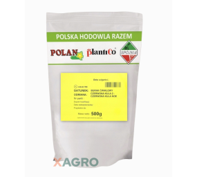 Burak ćwikłowy Czerwona Kula 2 Plantico