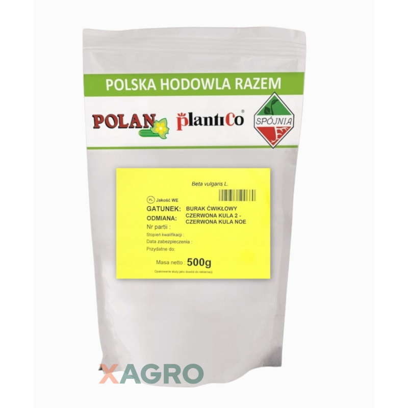 Burak ćwikłowy Czerwona Kula 2 Plantico