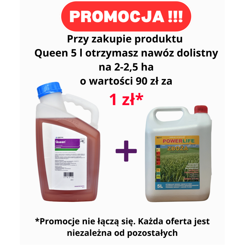 Queen + Powerlife Zboża PROMOCJA !!!!!!