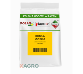 Cebula czerwona Scarlet Plantico