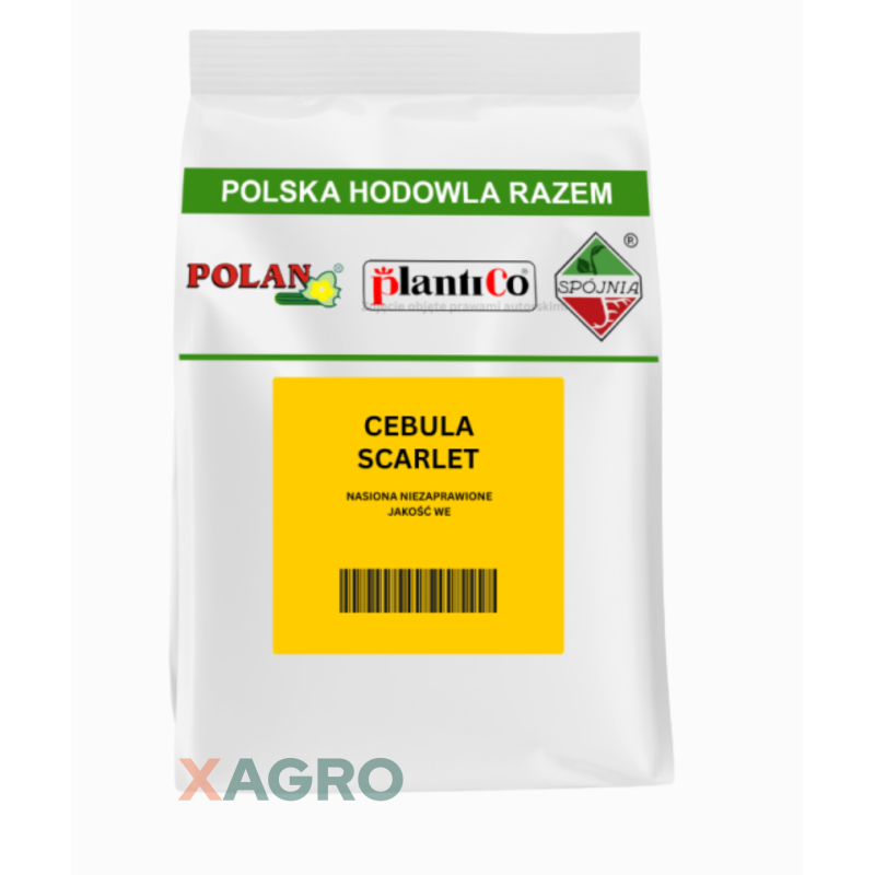 Cebula czerwona Scarlet Plantico