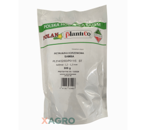 Pietruszka korzenna Samba