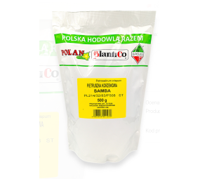 Pietruszka korzenna Samba