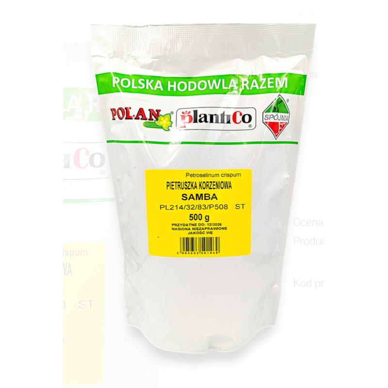 Pietruszka korzenna Samba