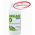 Orkan 350 SL hobby