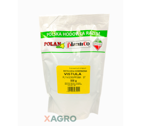 Pietruszka korzeniowa Vistula