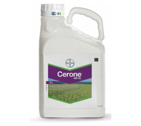 Cerone 480 SL