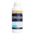 Fenuxsar  69 EW