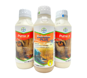 Puma Uniwersal 069 EW