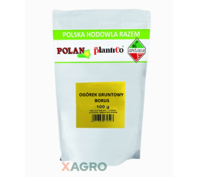 Ogórek gruntowy kwaszeniak Borus F1