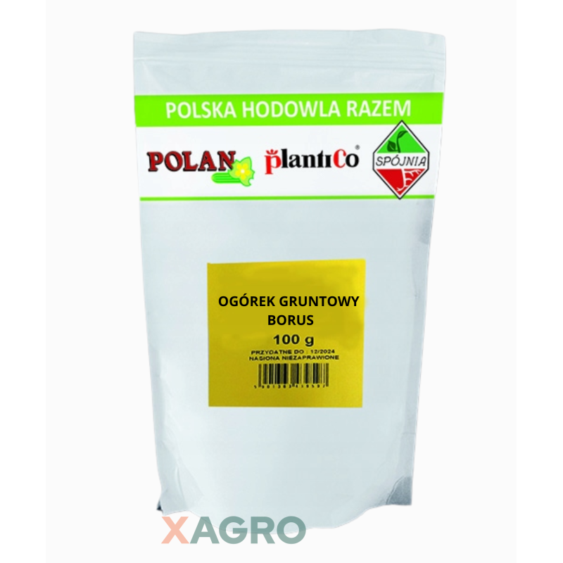 Ogórek gruntowy kwaszeniak Borus F1