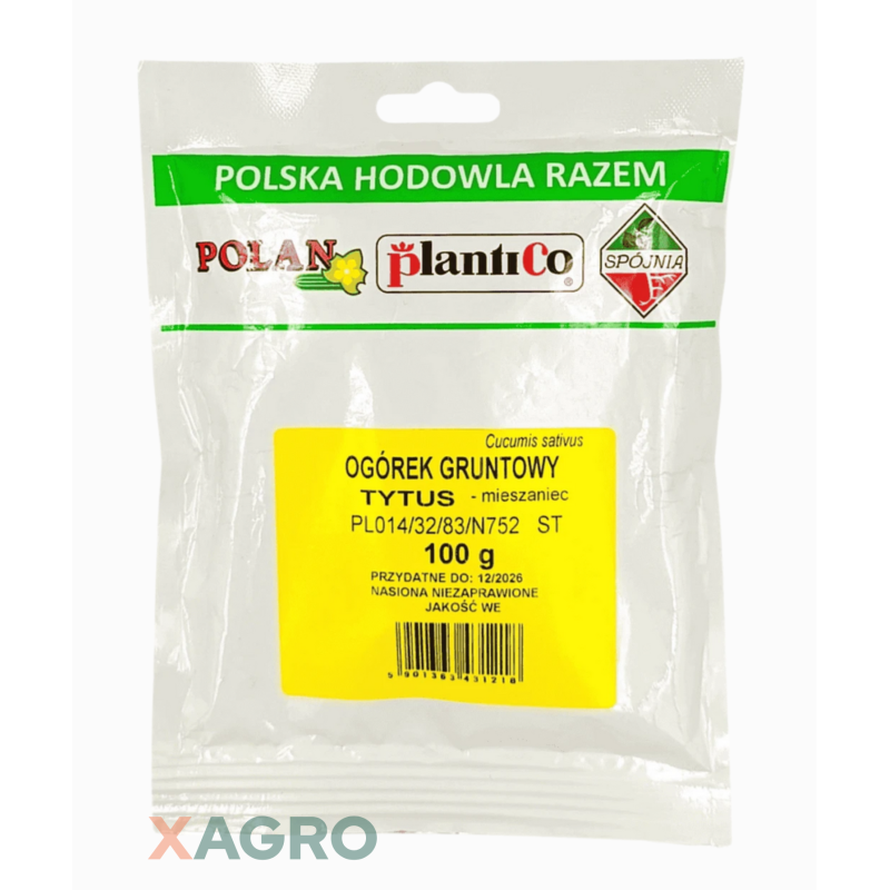 Ogórek gruntowy Tytus F1