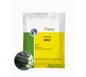 Cebula ozima Wolf F1
