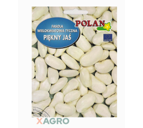 Fasola wielokwiatowa tyczna Piekny Jaś Polan