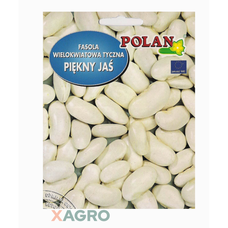 Fasola wielokwiatowa tyczna Piekny Jaś Polan