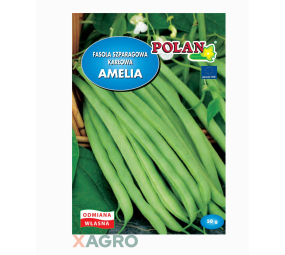 Fasola zwykła karłowa Amelia Polan
