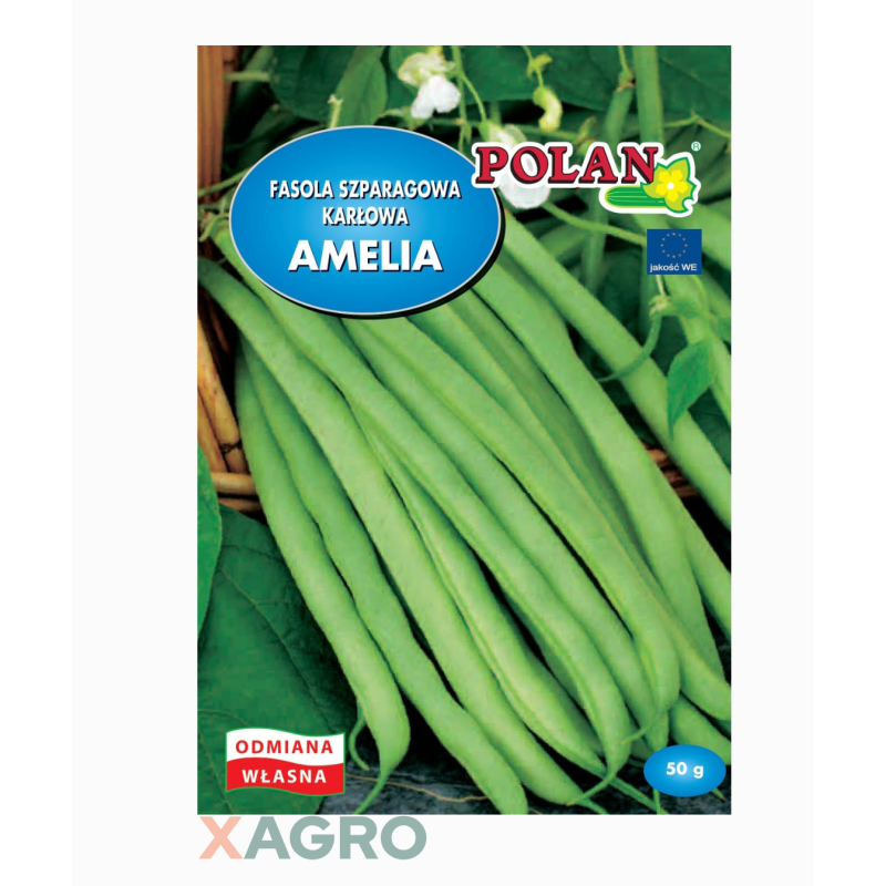 Fasola zwykła karłowa Amelia Polan