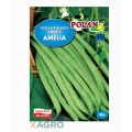 Fasola zwykła karłowa Amelia Polan