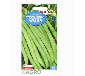 Fasola zwykła karłowa Amelia Polan