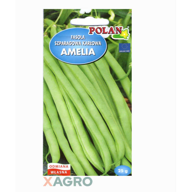 Fasola zwykła karłowa Amelia Polan