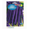 Fasola zwykła karłowa Amethyst Polan