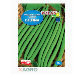 Fasola zwykła karłowa Delfina Polan