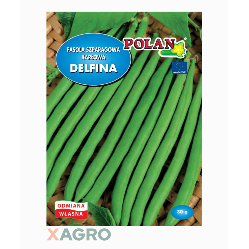 Fasola zwykła karłowa Delfina Polan