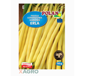 Fasola zwykła karłowa Erla Polan