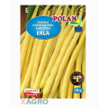 Fasola zwykła karłowa Erla Polan