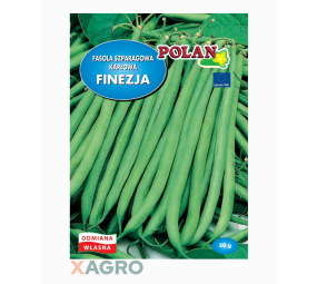 Fasola szparagowa karłowa Finezja Polan