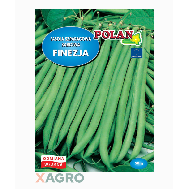 Fasola szparagowa karłowa Finezja Polan