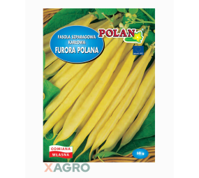 Fasola szparagowa karłowa Furora Polana Polan