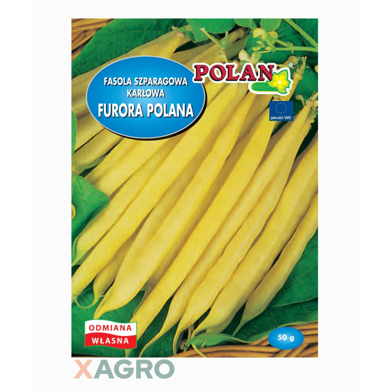 Fasola szparagowa karłowa Furora Polana Polan