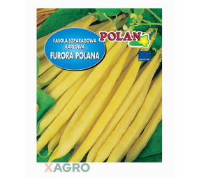 Fasola szparagowa karłowa Furora Polana Polan