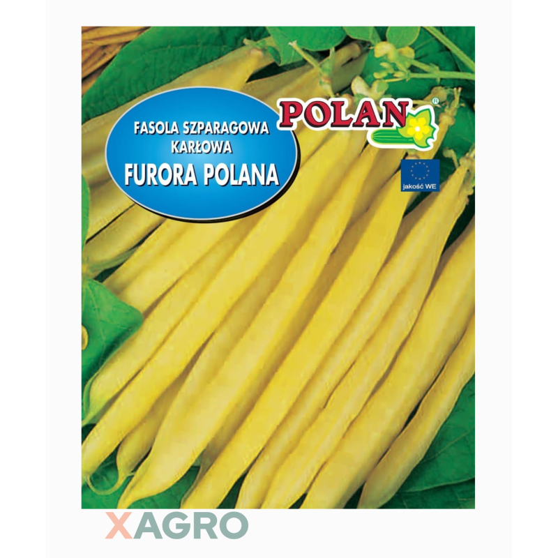 Fasola szparagowa karłowa Furora Polana Polan