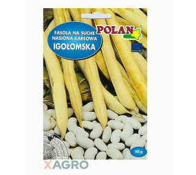 Fasola zwykła karłowana na suche nasiona Igołomska Polan