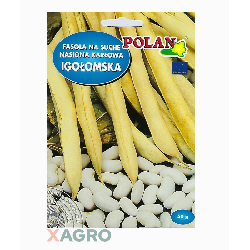Fasola zwykła karłowana na suche nasiona Igołomska Polan