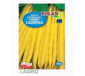 Fasola zwykła karłowa Laurina Polan