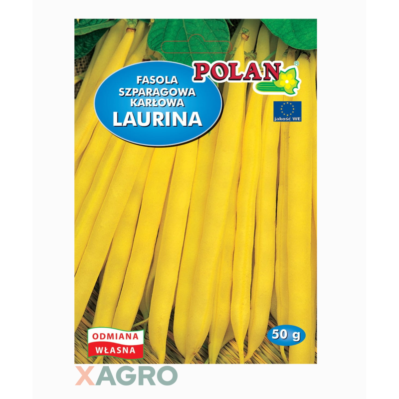 Fasola zwykła karłowa Laurina Polan