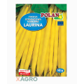 Fasola zwykła karłowa Laurina Polan