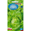 Sałata masłowa Królowa Majowych